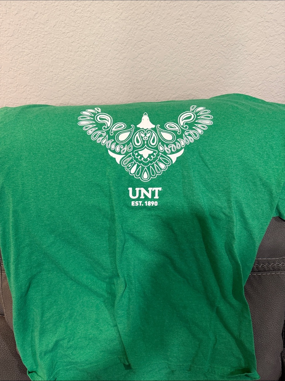 Green UNT EST. 1890 Graphic Tee